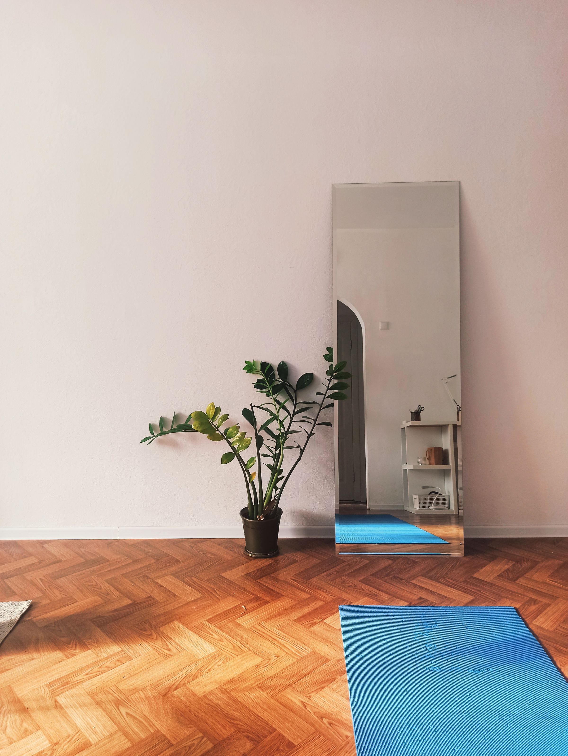 A moment of stillness in The Grove studio